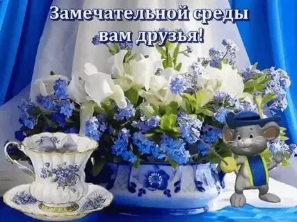 Замечательной среды доброе