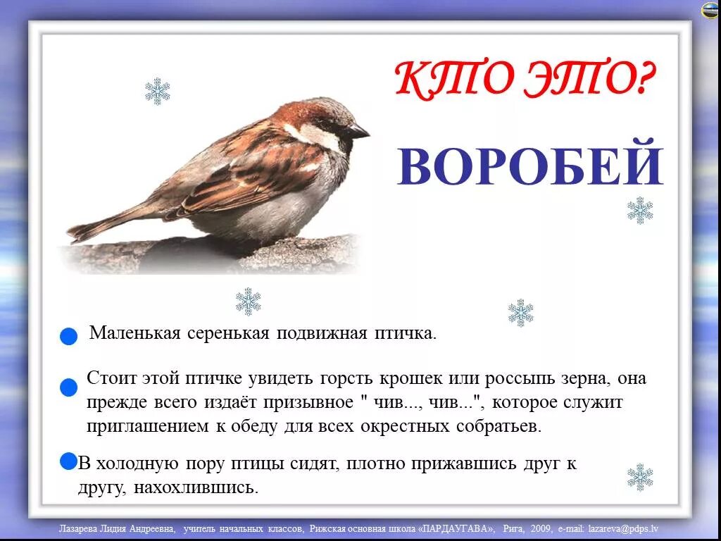 Почему воробей может съесть горсть зерна. Рассказ про интересную птицу. Воробей описание для детей. Интересные факты о воробьях для детей. Интересные птицы для детей.