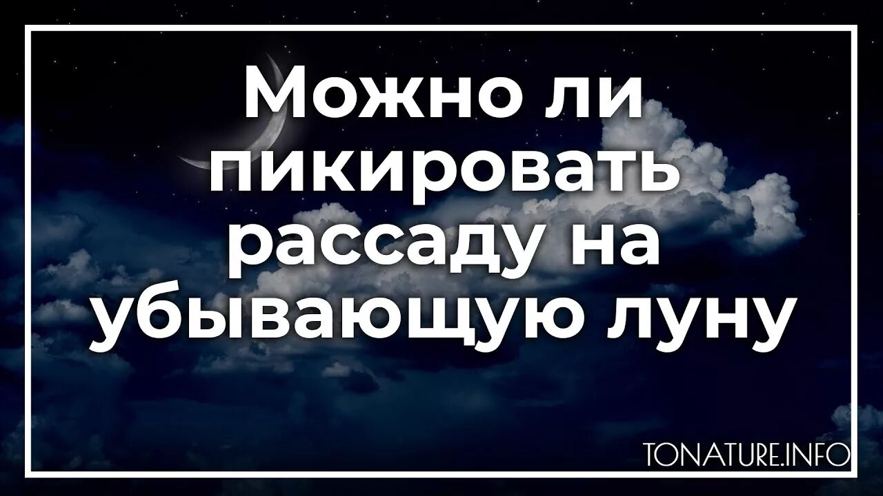 Можно пикировать рассаду на убывающую луну