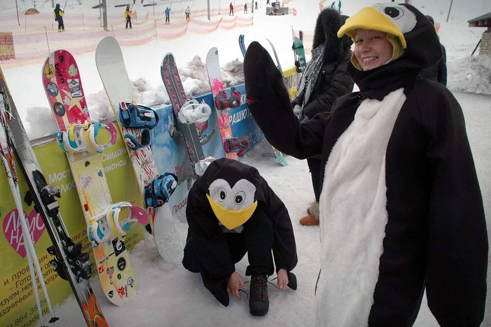 Пингвины в Липецке. 3 Пингвина. Три пингвина Шакша. Три пингвина Абакан.