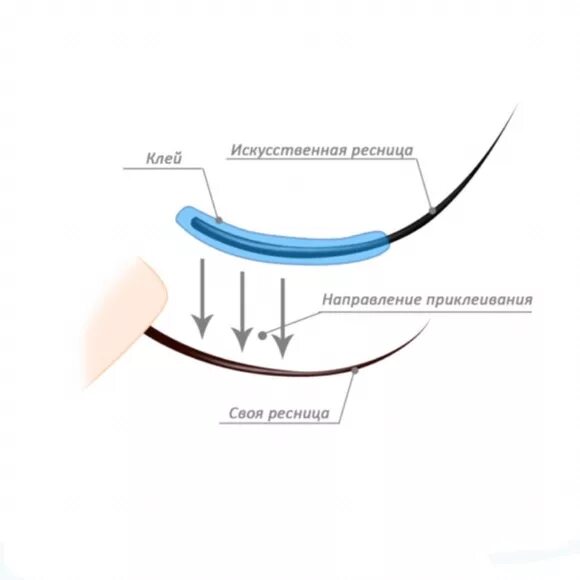 Техники приклеивания искусственной ресницы. Постановка ресниц. Отступ в наращивании ресниц. Омтуп наращивание ресниц.