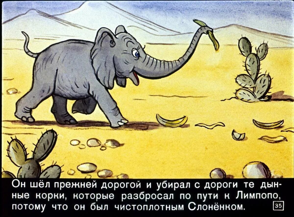 Киплинг слоненок чему учит. Сказка слоненок киплинг. киплинг р. &quot;про слонёнка&quot;. иллюстрации к сказке слоненок киплинга. любопытный слоненок киплинг.