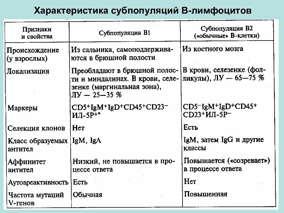 Основные субпопуляции б лимфоцитов. Основные критерии характеризующие субпопуляции лимфоцитов. Характеристика т-лимфоцитов: субпопуляция. Основные субпопуляции т лимфоцитов их характеристика и функции. Характеристика в лимфоцитов