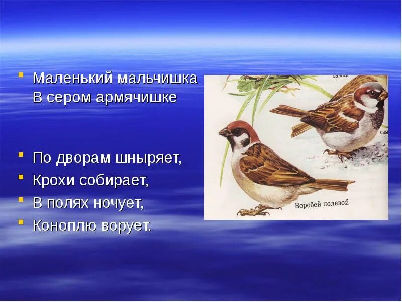 Мальчишка в сером армячишке. Мальчишка в сером армячишке по дворам шныряет крохи собирает. маленький мальчишка в сером армячишке по дворам ныряет. маленький мальчишка в сером армячишке по дворам.