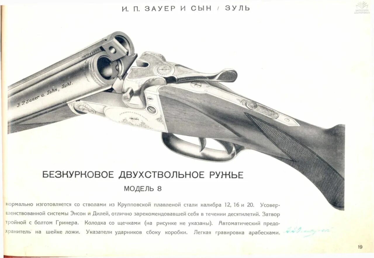Модель 8 19. Ружья Зауэр модель 8 1946г.. Ружья Зауэр 1924 года. Sauer модель 8. Клеймо Зауэр.