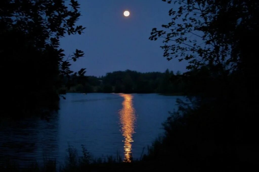 Вдали светит луна. Река ночью. Лунная дорожка на озере. Ночное озеро. Лунная дорожка на реке.