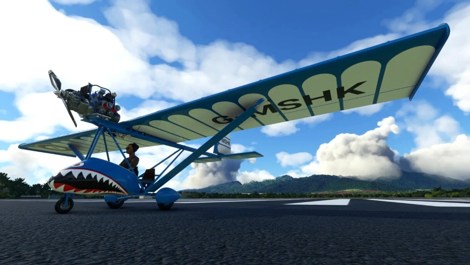 Flight helper