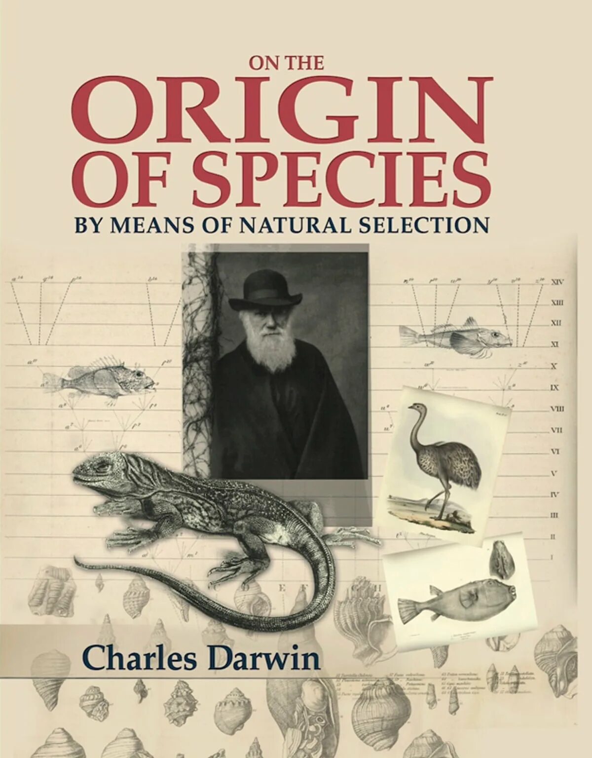 What is the origin of. The origin of species. on the origin of species. the origin of species by charles darwin.