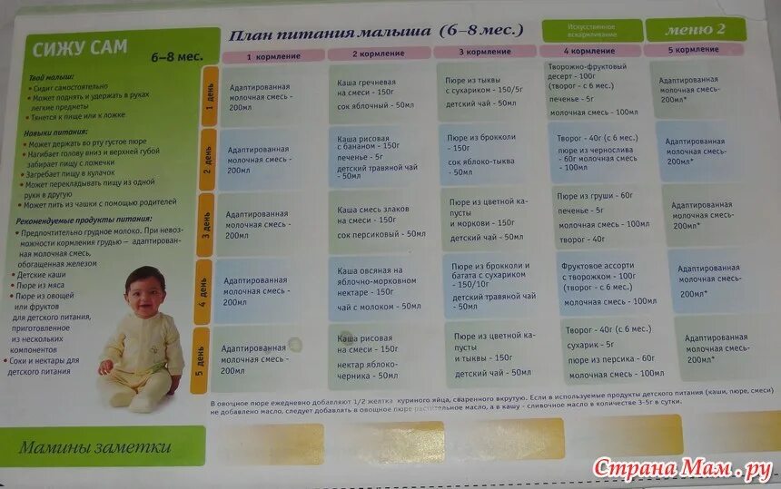 Чем можно кормить 8. Рацион питания ребенка в 6 месяцев с прикормом. Питание грудничка в 6 месяцев на искусственном вскармливании. Рацион питания 6 месячного ребенка на гв. Рацион 4 месячного ребенка на искусственном вскармливании.