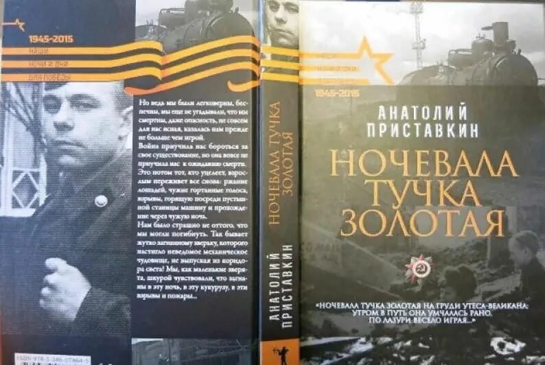 Иллюстрации из книги приставкина ночевала тучка золотая. Ночевала тучка золотая приставкин. Книга приставкина ночевала тучка золотая. Ночевала тучка золотая приставкин книга. Приставкин ночевала тучка.