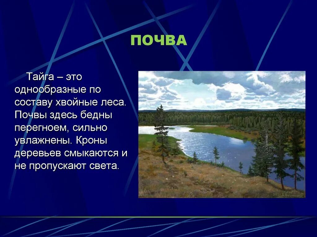 Проект тайга по биологии 5 класс Проект тайга по биологии 5 класс
