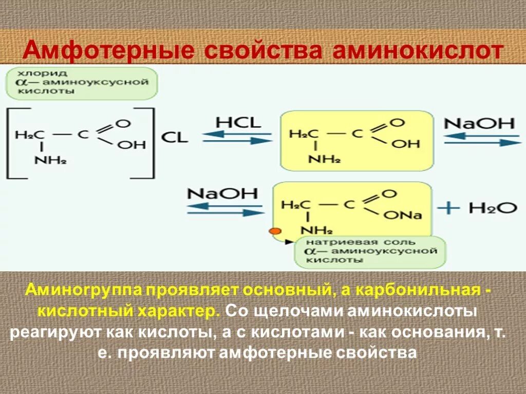 Кислотно основные аминокислоты. Амфотерные свойства аминокислот. Химические свойства аминокислот Амфотерность. Реакции доказывающие Амфотерность аминокислот. Свойства аминокислот Амфотерность.