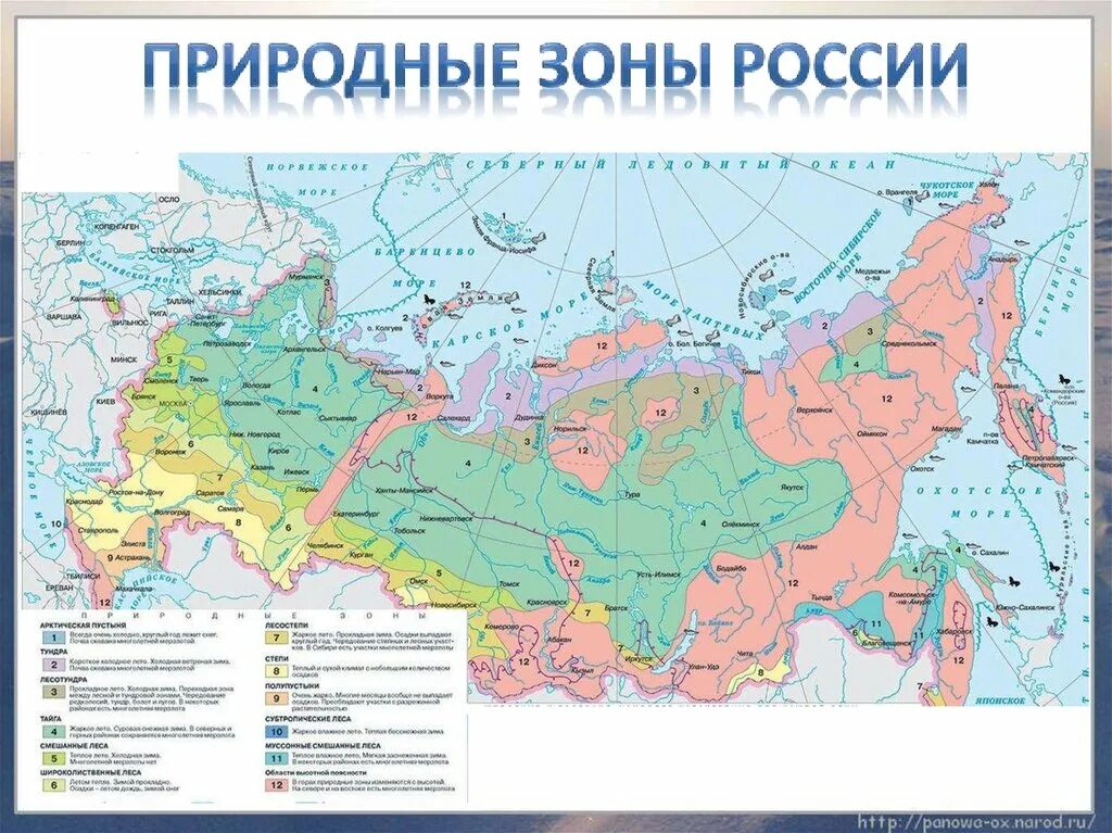 Карта природных карта природных зон России. Карта природных зон России 4. Природные зоны России карта с цифрами. Карта природных зон России 4 класс окружающий мир.