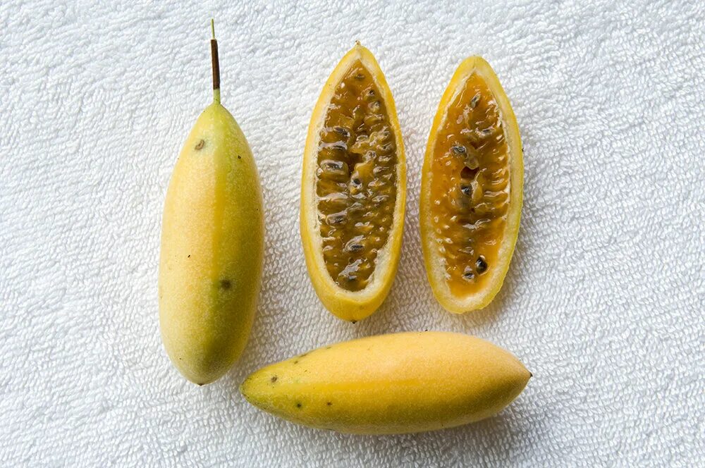 На какой плод похож. Дикий банан. Плод дикого банана. Банан с семенами. Фрукт похожий на банан.
