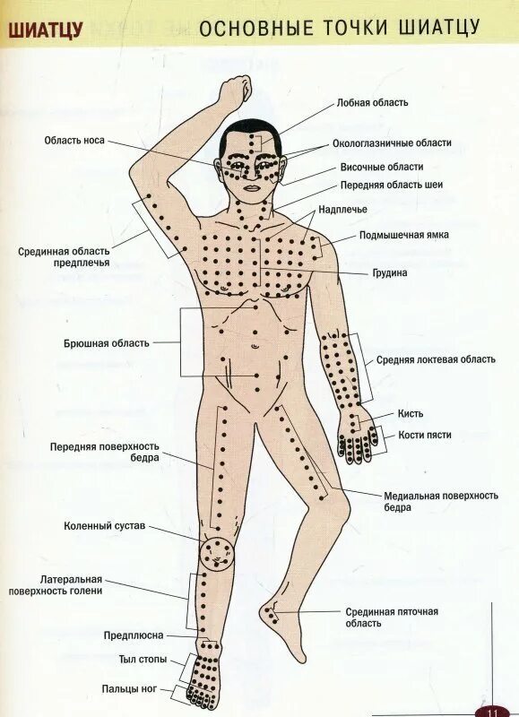 Массаж мужчине точки. "Акупрессура. Иллюстрированный атлас" Тимкова (АСТ). Китайская Акупрессура атлас точек. Акупрессура точечный массаж ,атлас. Акупрессура точки на теле.