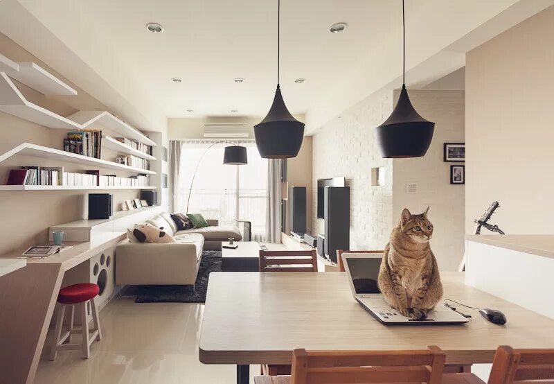 Комната для кошек. Коты в интерьере квартиры. Интерьер для кота в квартире. Квартира в стиле кот. The petting room