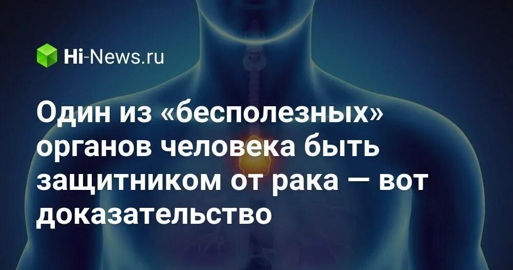 Самый бесполезный орган в теле человека. Бесполезные органы у человека. 11 Бесполезных органов. Бесполезные органы