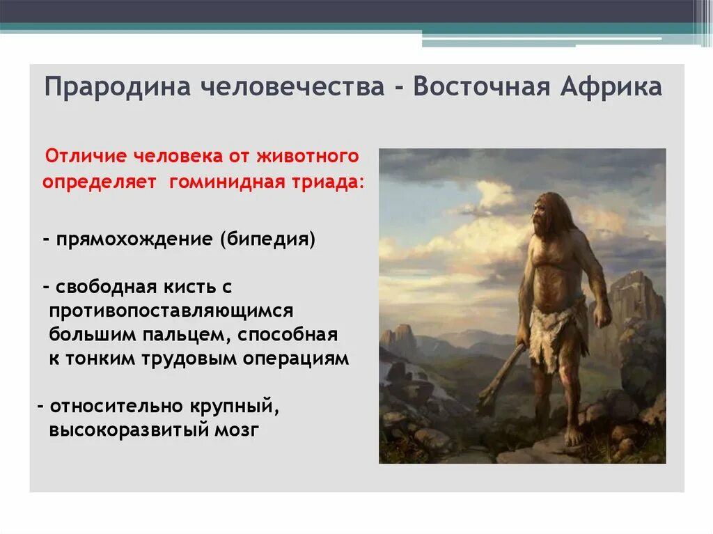 Человек опирающийся на факты. Гоминидная Триада первобытного общества. Прародина человека. Африка прародина человечества. Прародина первобытных людей.