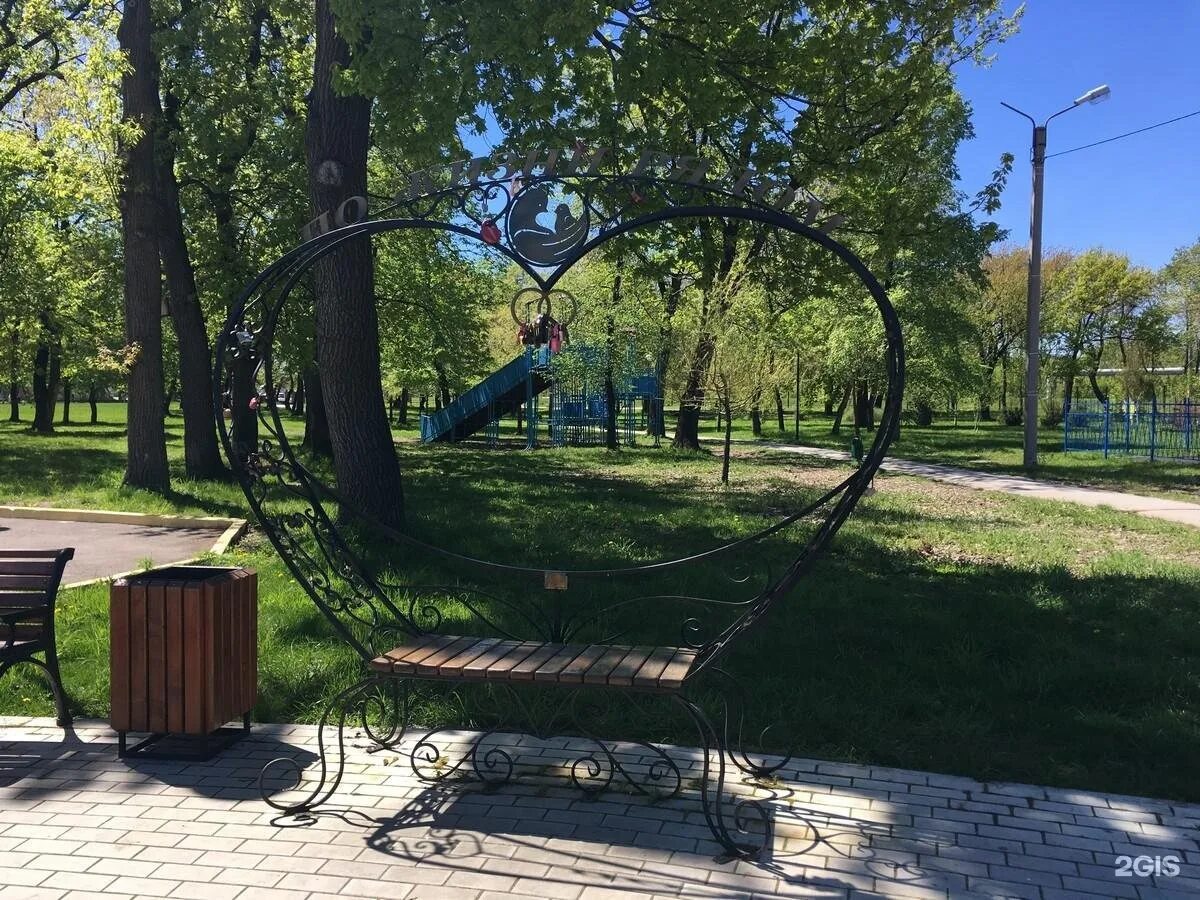 Пригородный лесопарк дубки самара. Павшино парк. Парк дубки самара. Парк дубки нижний новгород. Парк дубки самара.