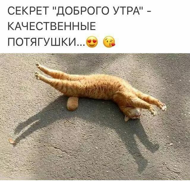 Ответы Mail.ru: С чего начать физзарядку?
