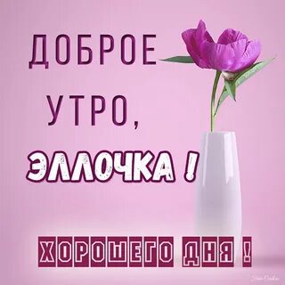Доброе утро все на выборы
