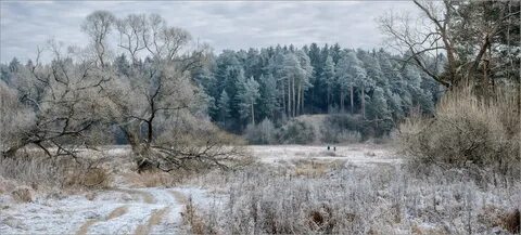 Был конец ноября до самого