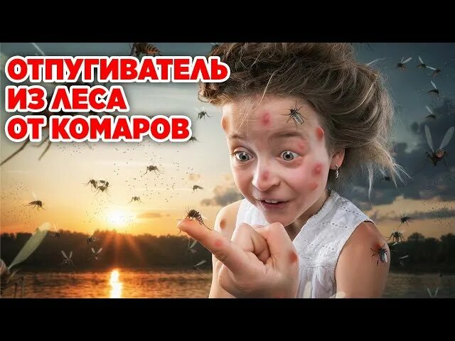 Уже искусали комары, а я не могу оторваться от её офигенного тела