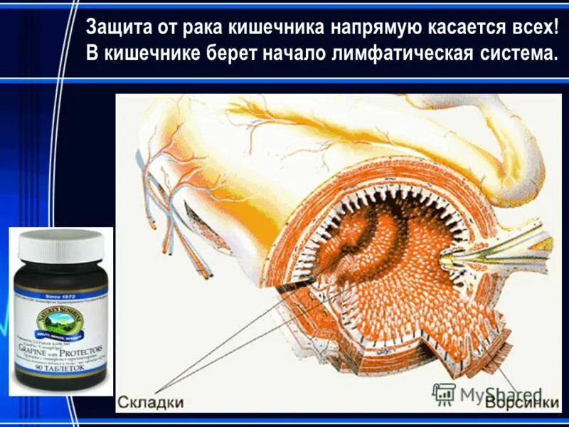 Дивертикулит колоноскопия. Эндоскоп медицинский для фгдс. Ирригоскопия толстого кишечника. Какую кишку берут. Эндоскопическое исследование толстого кишечника.