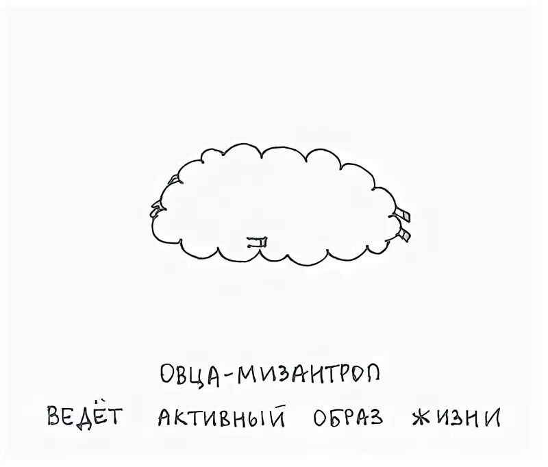 Мизантроп высказывания. Записки мизантропа. Мизантроп примеры известных людей. Записки мизантропа. Я мизантроп.