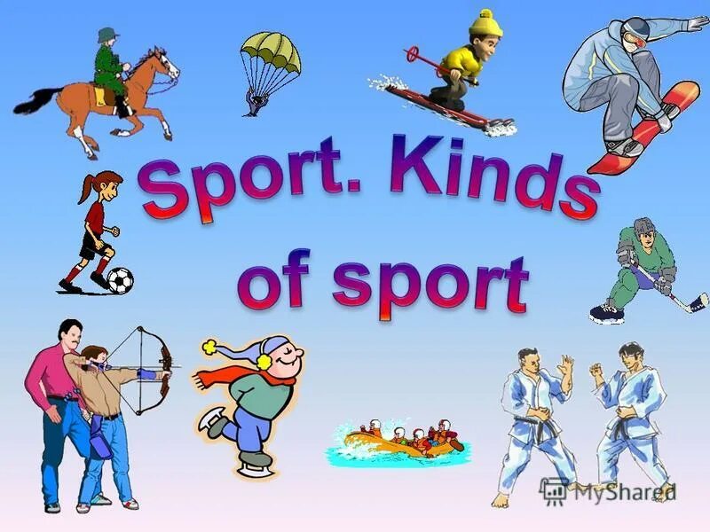 Kinds of Sports. Спорт на английском. Плакат. Виды спорта. Kinds of Sport in English.