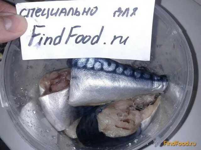 холодильник для хранения копченой рыбы. красная рыба в холодильнике. контейнеры для заморозки икры. можно ли замораживать соленую скумбрию в морозилке. соленая рыба в пакете.