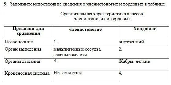 Заполнить недостающую информацию. Сравнение хордовых и членистоногих таблица. Общая характеристика типа Хордовые таблица. Сравнительная характеристика хордовых таблица. Членистоногие таблица сравнения.