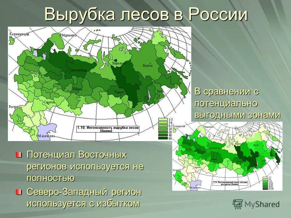 Карта вырубки лесов в России. Масштабы вырубки лесов в России. Сведения лесов России. Интенсивность вырубки лесов в России. Какие есть группы лесов