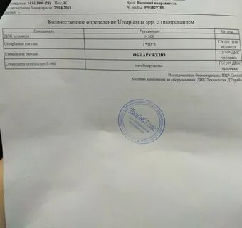 Уреаплазма методом пцр