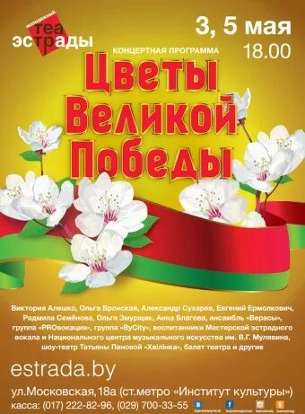 Песня цветы победы дарит. Цветы великой победы беларусь. Цветок гвоздика символ победы. Цветок победы беларусь. Цветы великой победы.