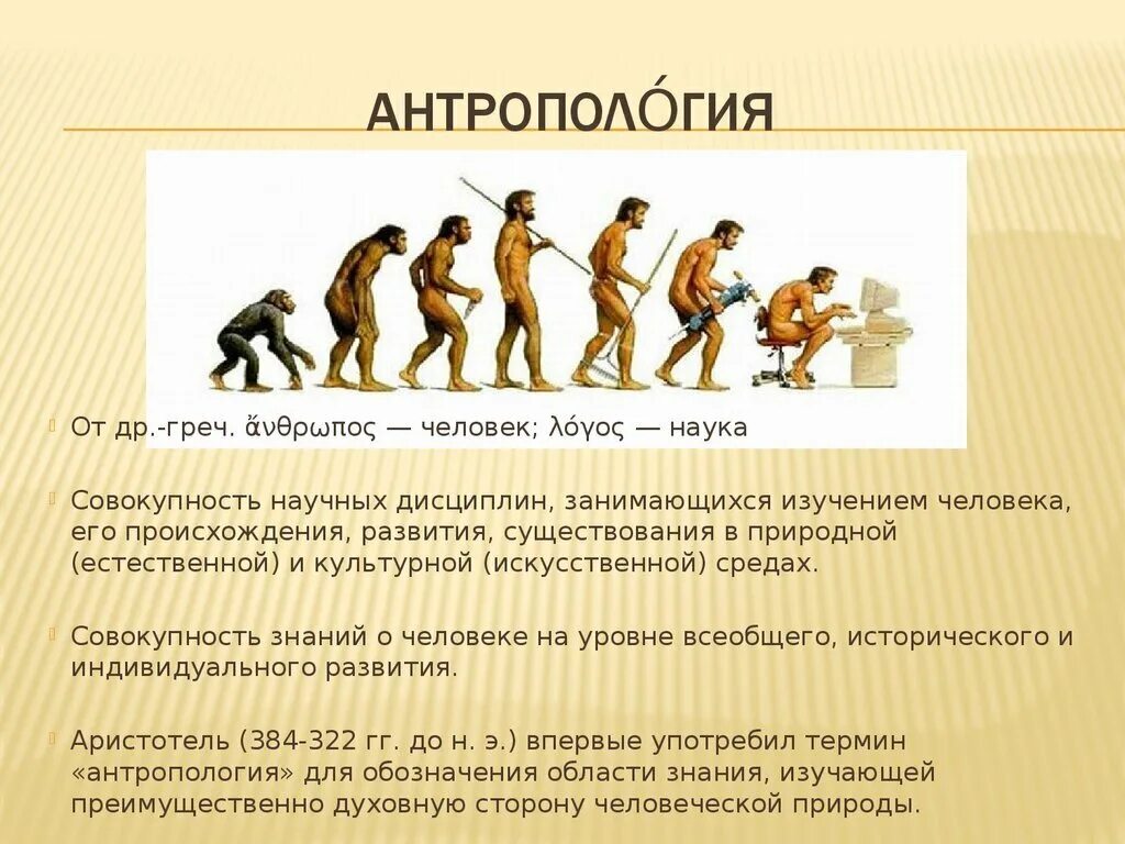 Происхождение возникновение развитие. Антропология. Антропология человека. Антропология это наука. Антропология развитие человека.