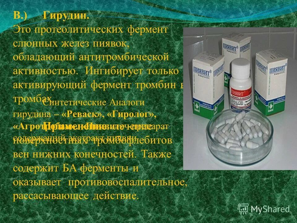 Тромбин это фермент. Слюнная железа у дождевого червя. Кольчатые черви пиявки строение. Строение лечебной пиявки. История гирудотерапии.