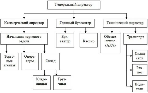 Организационная структура компании ООО оптовой торговли. Организационная структура ООО ТК «лента». Структура управления организации ООО лента. Коммерческий директор структура.