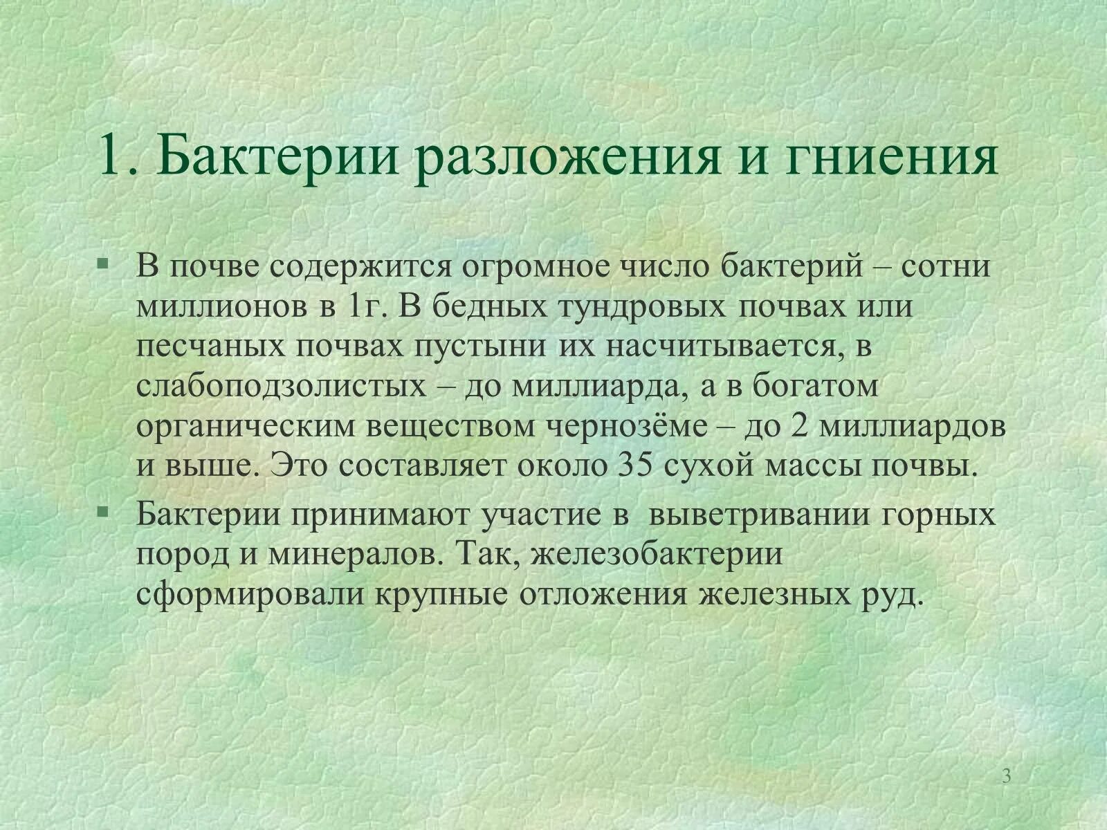 Бактерии гниения значение. Бактерии гниения. Бактерии разложения. Почвенные бактерии гниения. Бактерии разложение и гниени.