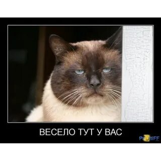 Тут с ней