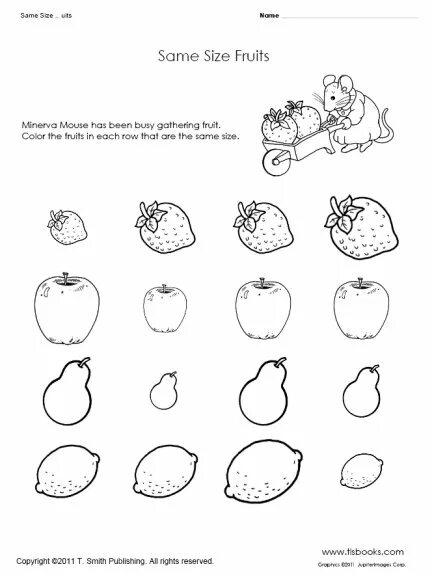 The same size. Fruits and vegetables worksheets. size worksheet. beach worksheets. at the beach worksheets.