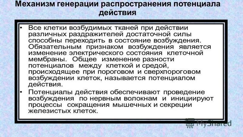 Механизмы генерации. Механизмы генерации. Активные помехи классификация. Механизмы генерации электроэнцефалограммы. Механизм возникновения тормозного постсинаптического потенциала.
