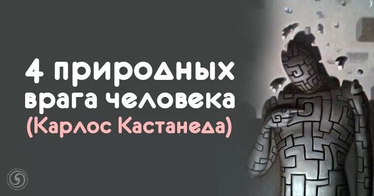 Кто у природы враги. Природный враг. Человек друг или враг природы. Природный враг. Естественный враг человека в природе.