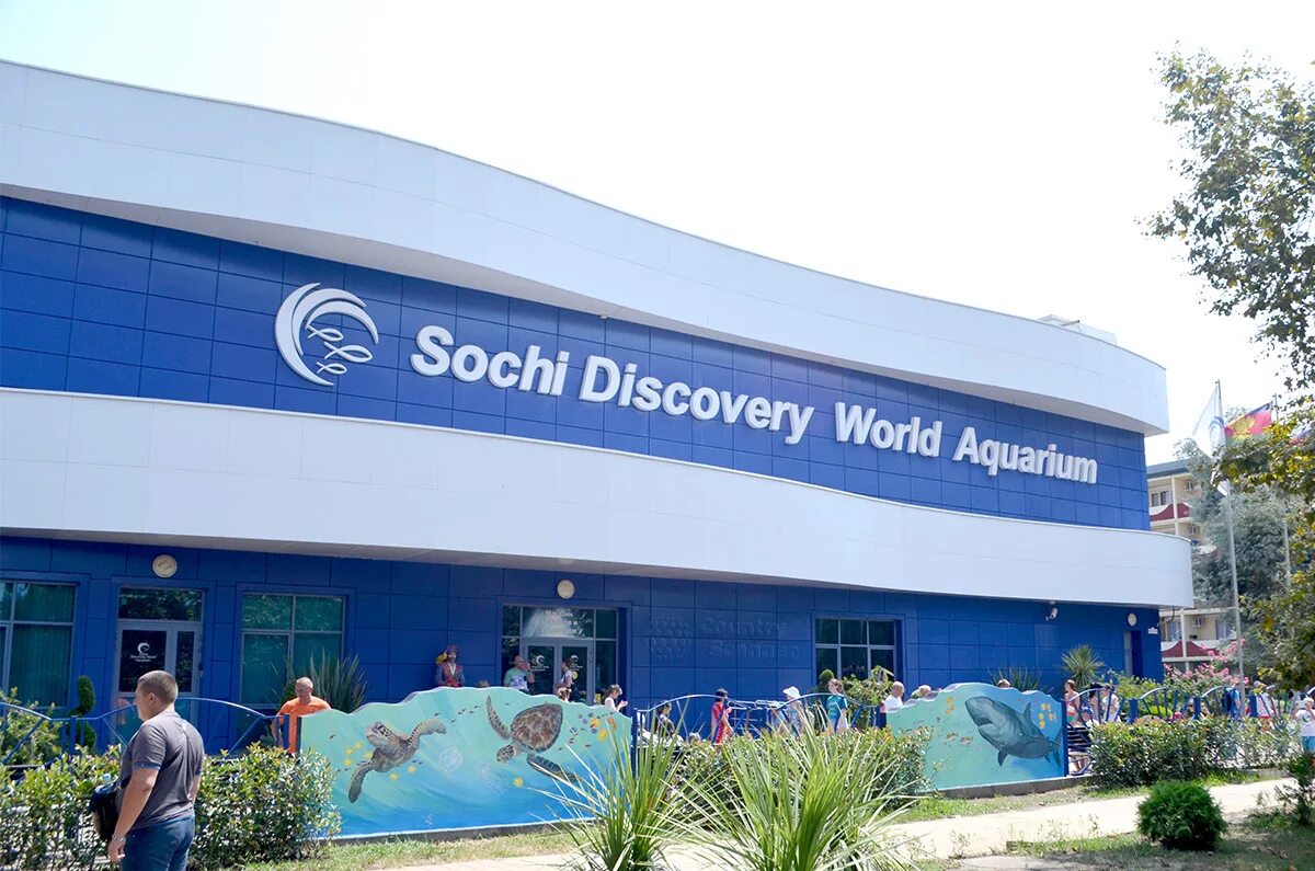 Океанариум discovery world. Сочи, океанариум Sochi Discovery World Aquarium. Сочи Дискавери ворлд аквариум. Краснодарский край Сочи улица Ленина 219а/4 Sochi Discovery World Aquarium.