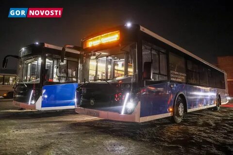 Автобусы 2023 год