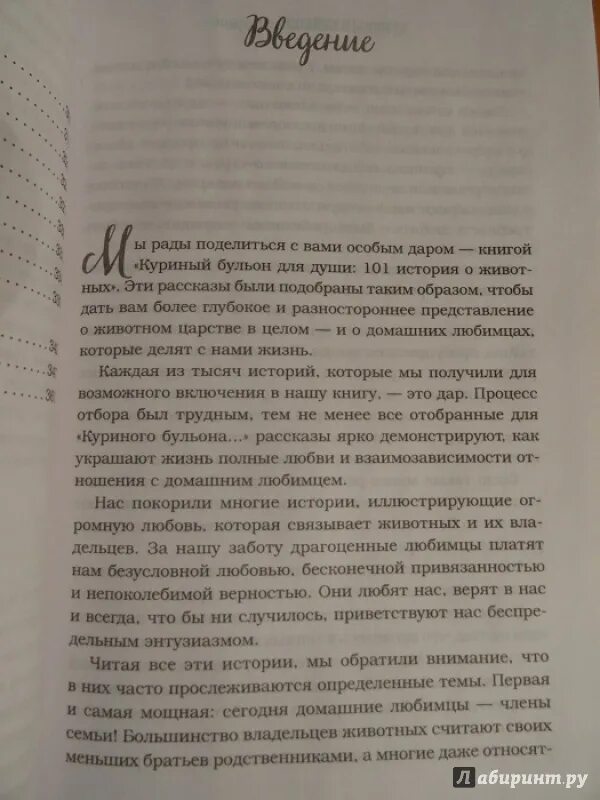 Куриный бульон истории о животных. Куриный бульон истории о любви. Куриный бульон для души о животных. Куриный бульон книга.