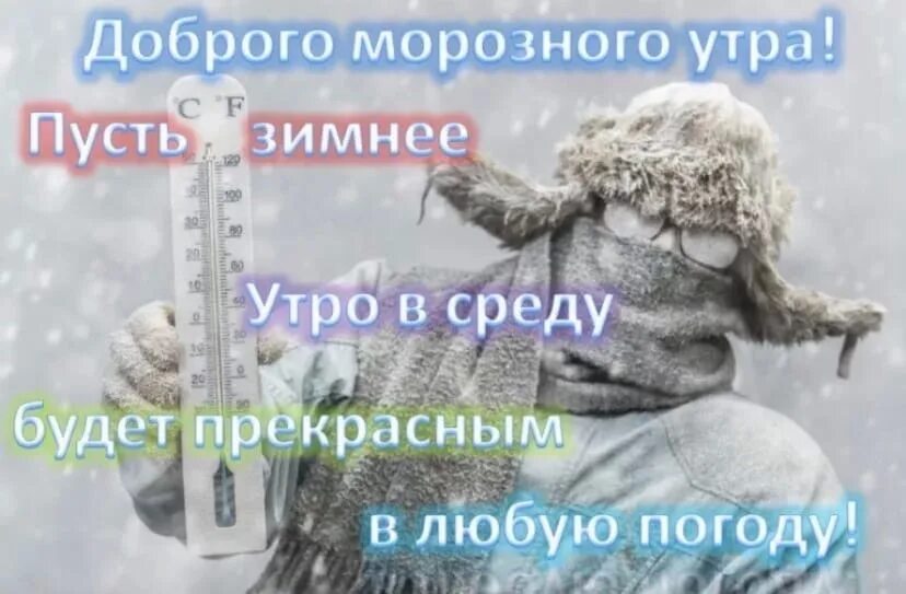 Доброе морозное утро прикольные. Несмотря на непогоду доброе утро. Снежные высказывания. Хорошего дня снег. Доброго дня радости зимние.