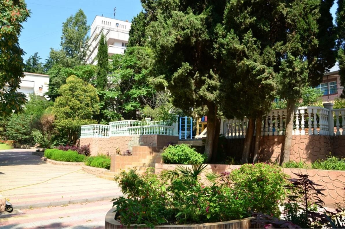 Крым Алушта санаторий Киев. Санаторий Киев Алушта. Санаторий Киев Алушта территория. Санаторий &quot;Киев&quot; г. Алушта