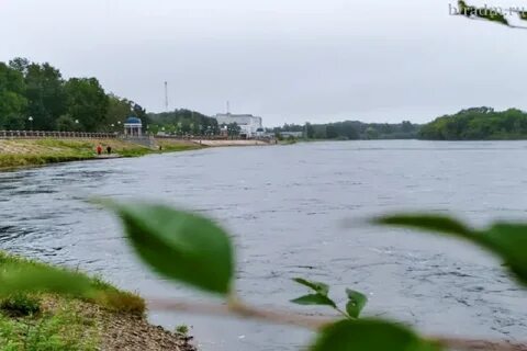 Уровень биры в биробиджане на сегодня