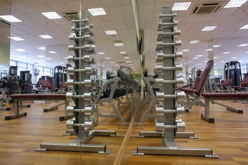 гоу фит. гоу фит детский. гоу фит. дава го фит. гоу фит.